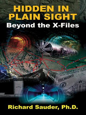 cover image of Hidden In Plain Sight